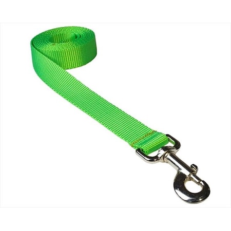 6 Ft. Nylon Webbing Dog Leash; Neon Green - Medium